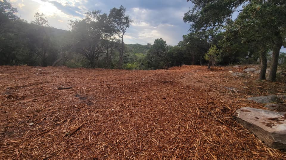 GD Land Improvement LLC - Professional Land Clearing Services in Texas ...