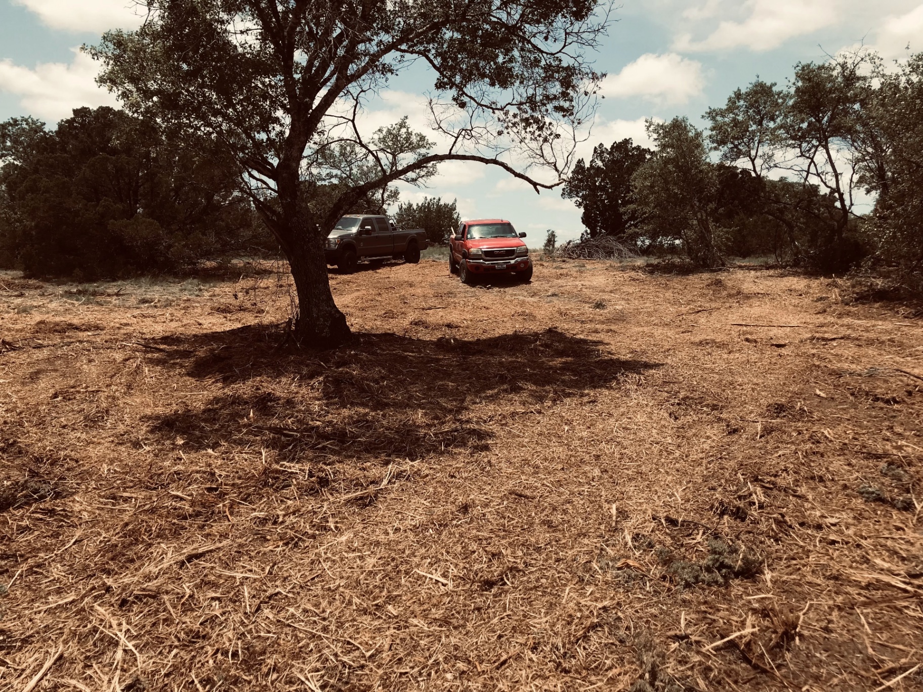 GD Land Improvement LLC - Professional Land Clearing Services in Texas ...